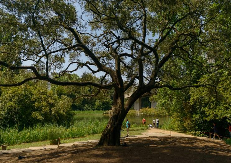 Gulbenkian Garden